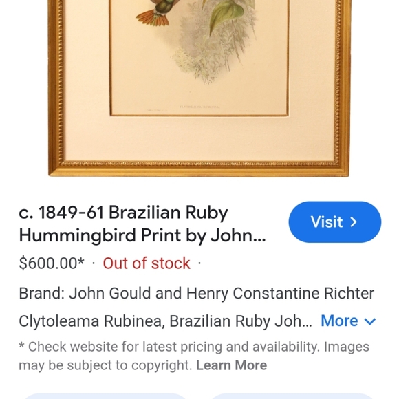 Rare Mid-19th Cent. English Hand-Colored Engraving Rosewood Gilt Shadowbox Frame - Picture 5 of 5